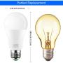 Smart Light Bulb 2.4G(Not 5G), WiFi LED RGBCW Color Changing Bulbs 2700K-6500K with White Lights Work with Alexa, Echo, Google Home and IFTTT(No Hub Required), A19 E26/E27 60W Equivalent