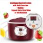 Wegner 1 Litre Automatic Digital Yogurt Maker