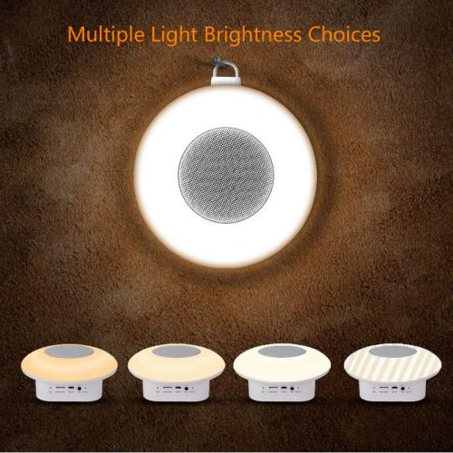 Wegner New Design Multi-function bluetooth speaker mini portable outdoor subwoofer wireless speaker  with house light, scene light, SOS flash and FM radio