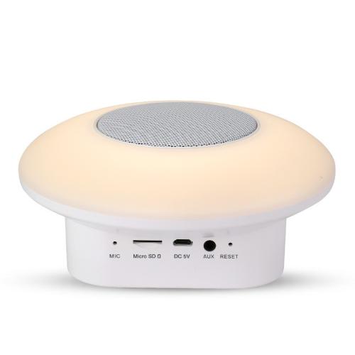 Wegner New Design Multi-function bluetooth speaker mini portable outdoor subwoofer wireless speaker  with house light, scene light, SOS flash and FM radio