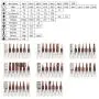Precision Screwdriver Sets,60 in 1 with 48 Bits Magnetic Driver Kit, Professional Electronic Repair Tool Kit with Flexible Shaft and Adjustable Extension Bar for PC, Computer, Xbox, iPhone, Cell phone Precision Screwdriver Sets,60 in 1 with 48 Bits Magnetic Driver Kit, Professional Electronic Repair Tool Kit with Flexible Shaft and Adjustable Extension Bar for PC, Computer, Xbox, iPhone, Cell phone