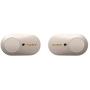Sony WF-1000XM3 Industry Leading Noise Canceling Truly Wireless Earbuds Headset/Headphones with Alexa voice control and mic for phone call, Silver