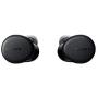 Sony WF-XB700 Extra BASS True Wireless Earbuds Headset/Headphones with mic for Phone Call Bluetooth Technology, Black (WFXB700/B)