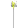 Bose SoundSport, Wireless Earbuds, (Sweatproof Bluetooth Headphones for Running and Sports), Citron