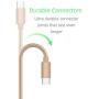 USB C Cable 6ft - by TalkWorks | Braided Type C Charging Cable Heavy Duty Fast Charger | Nintendo Switch, Android for Samsung Galaxy S20 / S10 / S9 / S8, Google Pixel, Moto, LG - Gold