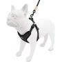 Voyager Step-In Flex Dog Harness - All Weather Mesh, Step In Adjustable Harness for Small and Medium Dogs by Best Pet Supplies