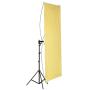 Neewer 35" x 70"/ 90 x 180cm Photo Studio Gold/Silver & Black/White Flat Panel Light Reflector with 360 degree Rotating Holding Bracket and Carrying Bag