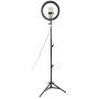 Qiilu 10 Inch Dimmable LED Ring Fill Light,USB Camera Video Lamp with Tripod Phone Clip Set