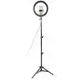 Qiilu 10 Inch Dimmable LED Ring Fill Light,USB Camera Video Lamp with Tripod Phone Clip Set Qiilu 10 Inch Dimmable LED Ring Fill Light,USB Camera Video Lamp with Tripod Phone Clip Set