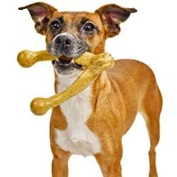 Pet Qwerks Wish BarkBone - For Aggressive Chewers| Made in USA