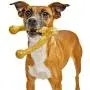 Pet Qwerks Wish BarkBone - For Aggressive Chewers| Made in USA Pet Qwerks Wish BarkBone - For Aggressive Chewers| Made in USA