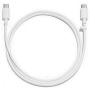 Google USB-C Charging Rapidly Charger for 2nd & 3rd Gen Pixel devices (18W 3A Charger + 3 Foot USB-C, C-C Cable)