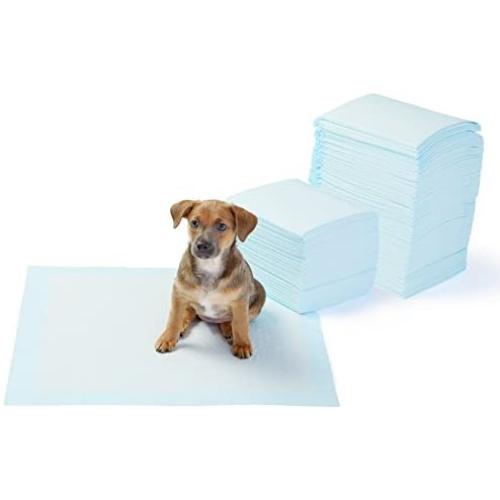 AmazonBasics Dog and Puppy Potty Training Pads, Regular Absorbency