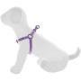 Pawtitas Pet Adjustable Solid Color Step in Puppy/Dog Harness 6 feet Matching Collar and Harness Sold Separately