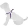 Pawtitas Pet Adjustable Solid Color Step in Puppy/Dog Harness 6 feet Matching Collar and Harness Sold Separately Pawtitas Pet Adjustable Solid Color Step in Puppy/Dog Harness 6 feet Matching Collar and Harness Sold Separately