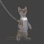 AVCCAVA Kitten Harness with Leash for Walking, Escape Proof Soft Cat Harnesses Easy Adjustable Vest Breathable Pet Safety Jacket with 1 Reflective Towing Leash AVCCAVA Kitten Harness with Leash for Walking, Escape Proof Soft Cat Harnesses Easy Adjustable Vest Breathable Pet Safety Jacket with 1 Reflective Towing Leash