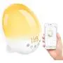 Alarm Clock,Wellwerks Wake up Light Sleep Aid Digital Alarm Clock with Dual Alarms Soonze Function, 7 Colors FM Radio, Dimmable Bedside Lamp Compatible with Alexa and Smart Phone Application Alarm Clock,Wellwerks Wake up Light Sleep Aid Digital Alarm Clock with Dual Alarms Soonze Function, 7 Colors FM Radio, Dimmable Bedside Lamp Compatible with Alexa and Smart Phone Application
