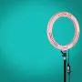 Selfie Ring Light with Tripod Stand with Phone Holder for, Live Stream,Self-Portrait Shooting (Pink,1 X Fill Light +1 X Mobile Phone Clip +1 X Remote Control, 10.2) Selfie Ring Light with Tripod Stand with Phone Holder for, Live Stream,Self-Portrait Shooting (Pink,1 X Fill Light +1 X Mobile Phone Clip +1 X Remote Control, 10.2)