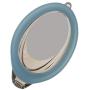 Mieny Mirrored Vanquisher Swim Goggles,Goggles Swimming, Anti-Glare, Panoramic Swim Goggles, for Adult Men Women Youth