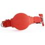 Himalayan Pet Supply Doddle | Retractable Leash and Collar in One | Fear Free | X-Small | 11-12" Neck, Red (551016)