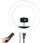 18" Selfie Ring Light with Tripod Stand & Cell Phone Holder for Live Stream/Makeup | Dimmable Mini Floor Table Camera Ringlight for YouTube Video/Photography Compatible with iPhone Android