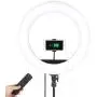 18" Selfie Ring Light with Tripod Stand & Cell Phone Holder for Live Stream/Makeup | Dimmable Mini Floor Table Camera Ringlight for YouTube Video/Photography Compatible with iPhone Android 18" Selfie Ring Light with Tripod Stand & Cell Phone Holder for Live Stream/Makeup | Dimmable Mini Floor Table Camera Ringlight for YouTube Video/Photography Compatible with iPhone Android