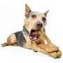 Pet Qwerks Wish BarkBone - For Aggressive Chewers| Made in USA