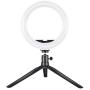 Ring Light, Light Stand with Phone Tripod, Phone Stand, 8 Selfie Ring Light Tripod with LED Lights, Phone Holder Dimming Light Beauty Fill Light Stand for iPhone, Samsung, HTC, All Smartphones