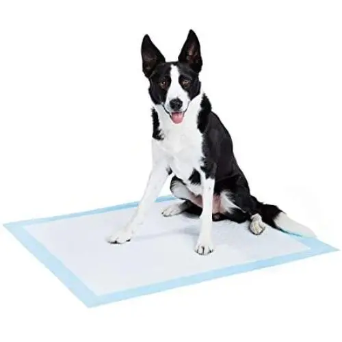 AmazonBasics Dog and Puppy Pee, Potty Training Pads, Heavy Duty Absorbency