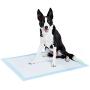 AmazonBasics Dog and Puppy Pee, Potty Training Pads, Heavy Duty Absorbency AmazonBasics Dog and Puppy Pee, Potty Training Pads, Heavy Duty Absorbency