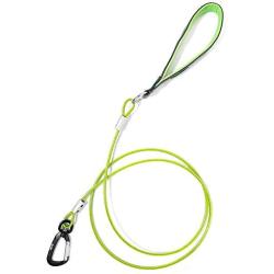 Mighty Paw Chew-Proof Dog Leash - Six-Foot Cable Lead, Steel Braided Cord with Padded Handle and Rock Climbers Carabiner