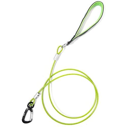 Mighty Paw Chew-Proof Dog Leash - Six-Foot Cable Lead, Steel Braided Cord with Padded Handle and Rock Climbers Carabiner