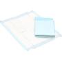 Large Pet Training Pads, 3 ct - Bulk Case of 24
