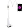 Cell Phone Holder, BENKS Universal Flexible Long Arms Mobile Phone Holder Desktop Bed Lazy Bracket Mobile Stand Support All Mobiles, for Bedroom, Kitchen, Office, Bathroom (Supreme in 900mm Length)