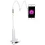 Cell Phone Holder, BENKS Universal Flexible Long Arms Mobile Phone Holder Desktop Bed Lazy Bracket Mobile Stand Support All Mobiles, for Bedroom, Kitchen, Office, Bathroom (Supreme in 900mm Length)