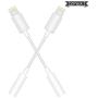 (2 Pack) Lighting to Headphone Jack Adapter, 3.5mm Earphones/Headphone Aux Audio Cable Compatible with iPhone 11/Xs Max/XR/X/8P/ 8/7P/7 Supports iOS 11 or Later