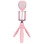 fosa Fill Light, Three-Gear Adjustment Brightness Foldable Selfie Light with Tripod and Phone Holder,Fill Light Lamp for Mobile Phone Below 6 Inches
