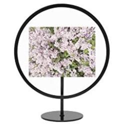 Umbra Infinity Round 4x6 Picture Frame, Floating Photo Display for Desk or Wall, Black