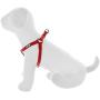 Pawtitas Pet Adjustable Solid Color Step in Puppy/Dog Harness 6 feet Matching Collar and Harness Sold Separately