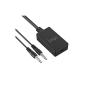 Kiicool N-Switch Audio 2 in 1 Converter