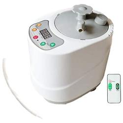 ZONEMEL Sauna Steamer Portable Pot 2 Liters, Stainless Steel Steam Generator with Remote Control, Spa Machine with Timer Display Mist Moisturizing for Body Detox, 110V