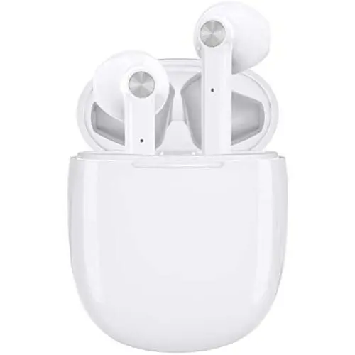 LETSCOM Wireless Earbuds, Bluetooth 5.0 Earbuds in Ear True Wireless Stereo Headphones, 20Hrs Playtime with Charging Case, Bluetooth Earbuds with Built-in Microphone for Sports and Work