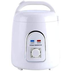 KKTECT Sauna Steamer Portable Pot 1.5-1.8 Liters Suit Home SPA Shower 110V (US Plug)