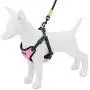 Voyager Step-In Flex Dog Harness - All Weather Mesh, Step In Adjustable Harness for Small and Medium Dogs by Best Pet Supplies Voyager Step-In Flex Dog Harness - All Weather Mesh, Step In Adjustable Harness for Small and Medium Dogs by Best Pet Supplies