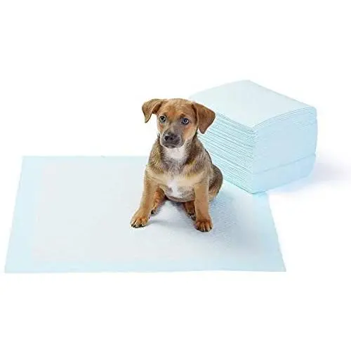 AmazonBasics Dog and Puppy Potty Training Pads, Regular Absorbency AmazonBasics Dog and Puppy Potty Training Pads, Regular Absorbency