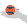 Chuckit! Dog Ball