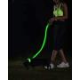 Illumiseen LED Dog Collar - USB Rechargeable - Available in 6 Colors & 6 Sizes - Makes Your Dog Visible, Safe & Seen