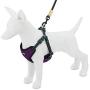 Voyager Step-In Flex Dog Harness - All Weather Mesh, Step In Adjustable Harness for Small and Medium Dogs by Best Pet Supplies