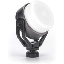 Sunwayfoto FL-54D Powerful & Lightweight Pivoting Video Fill Light & Diffuser 3000k-5500k LED Adjustable Color Temperature Stepless Output Ideal for DSLR