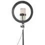 Qiilu 10 Inch Dimmable LED Ring Fill Light,USB Camera Video Lamp with Tripod Phone Clip Set Qiilu 10 Inch Dimmable LED Ring Fill Light,USB Camera Video Lamp with Tripod Phone Clip Set